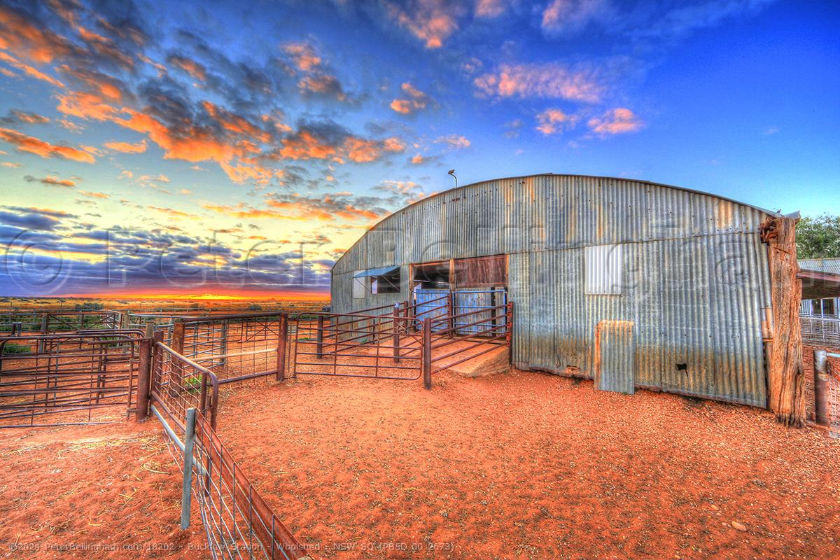 Peter Bellingham Photography Bucklow Station - Woolshed - NSW SQ (PB5D 00 2673)